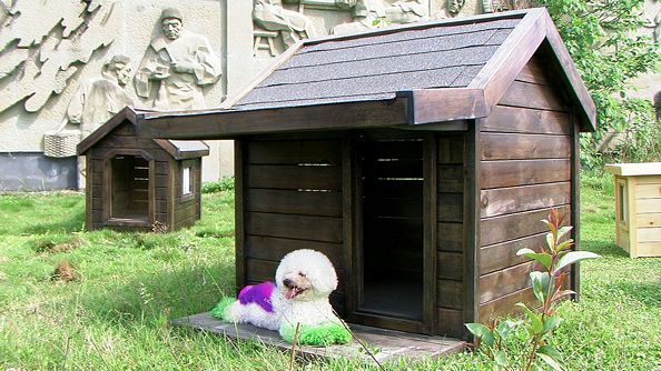 tn_hardoly-dog-house-Outdoor-11_01.jpg
