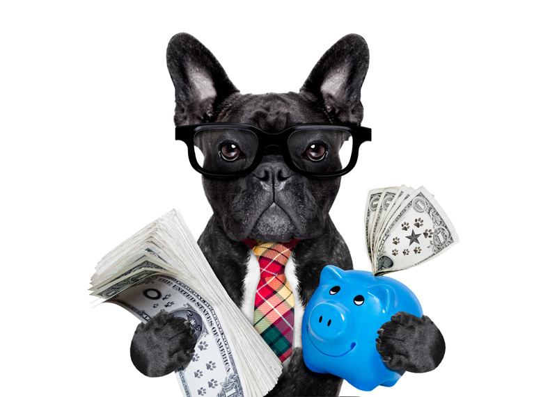 pet-investments.jpg