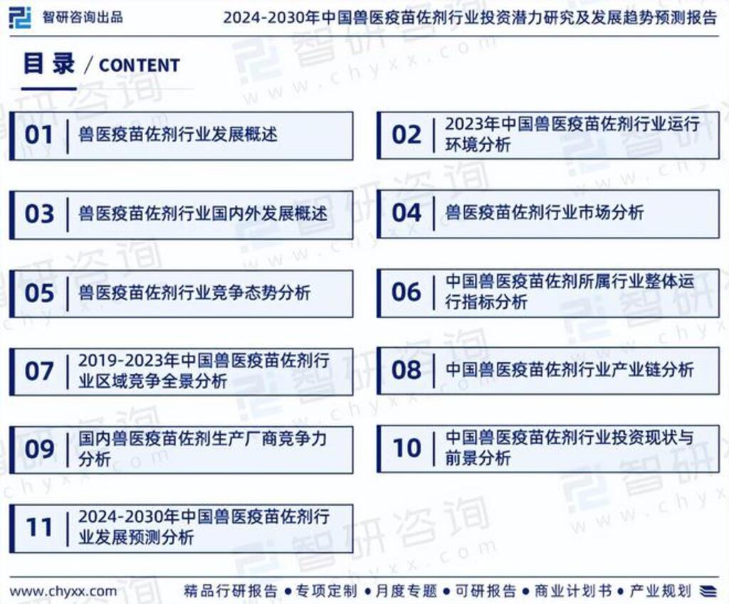 2024-2030年中國獸醫(yī)疫苗佐劑行業(yè)投資潛力研究及發(fā)展趨勢預(yù)測報告