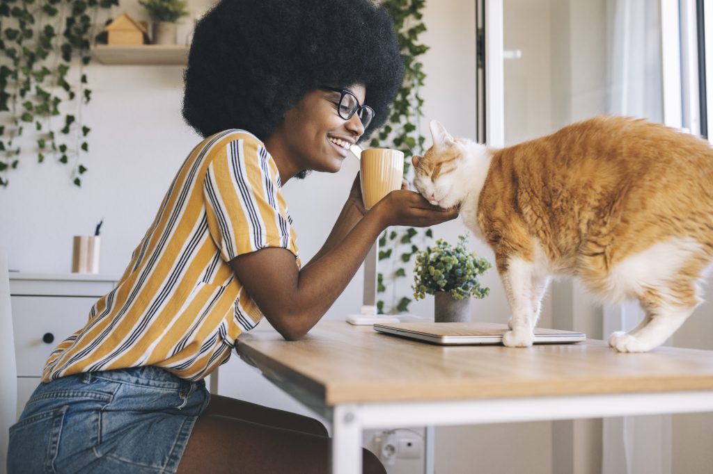 a3a91a73-f623-4321-8fb4-9114d1b28fcc.jpg a3a91a73-f623-4321-8fb4-9114d1b28fcc.jpg