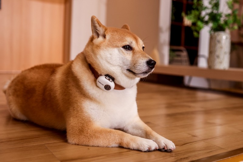 20260420133112695005627.jpeg