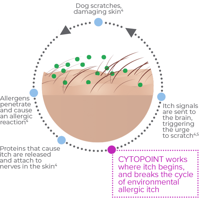 about-chart-cytopoint-works.png