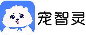 寵智靈